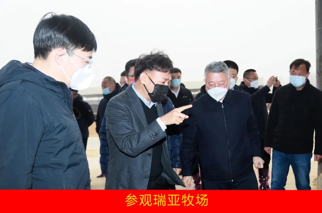 新年開(kāi)新局 合作促發(fā)展丨佳木斯市委常委、副市長(zhǎng)閆志剛一行蒞臨花花牛乳業(yè)集團(tuán)及佳田企業(yè)考察座談
