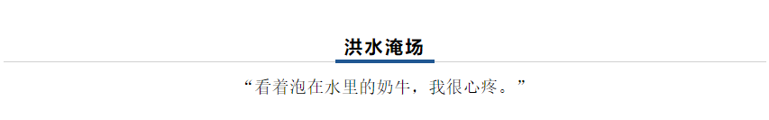 【乳報·聚焦】“豫”難而上的中原牛人“太中了”！