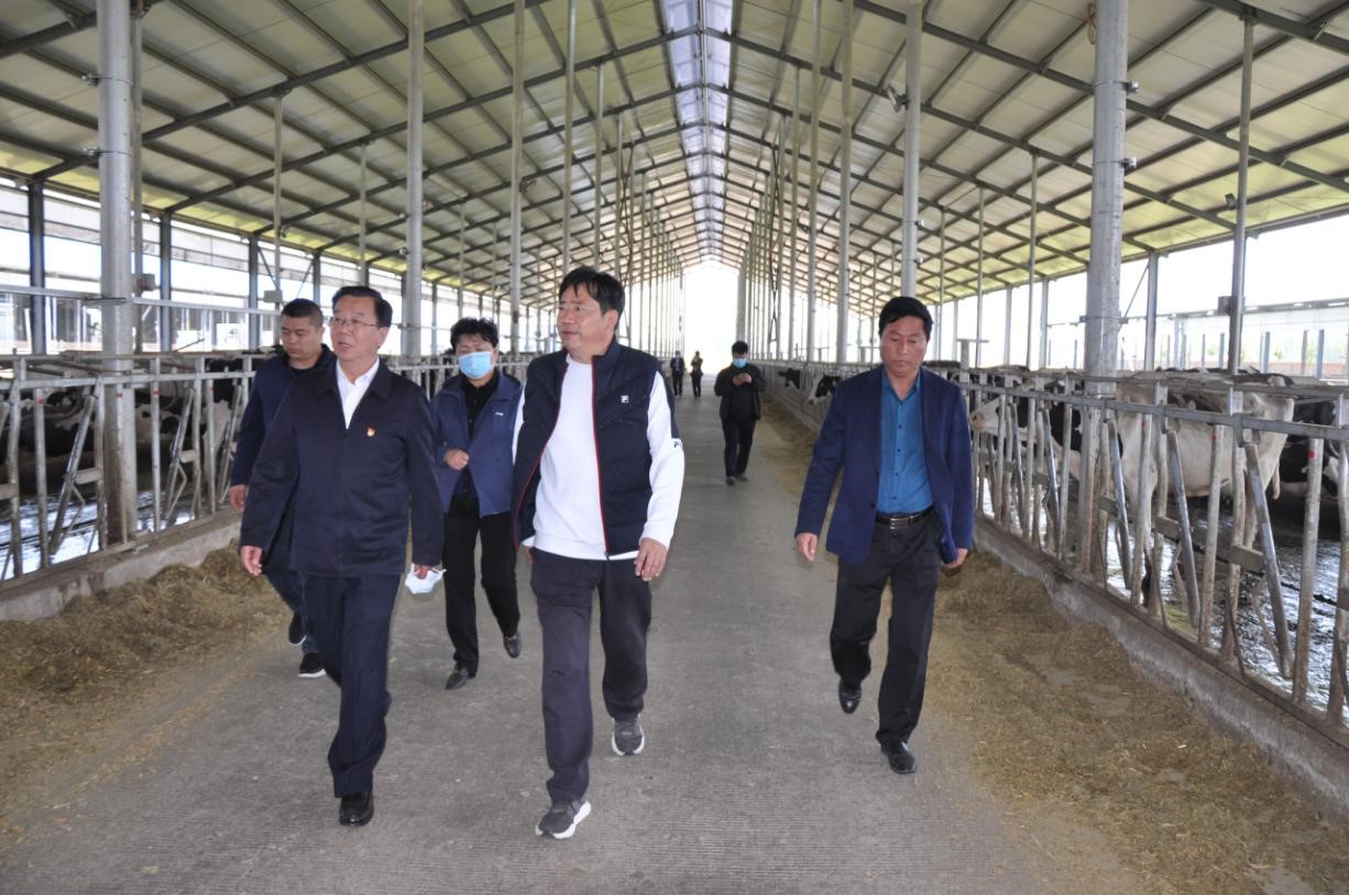 商丘市委常委、宣傳部部長王全周一行蒞臨睢縣瑞亞牧業(yè)有限公司調(diào)研