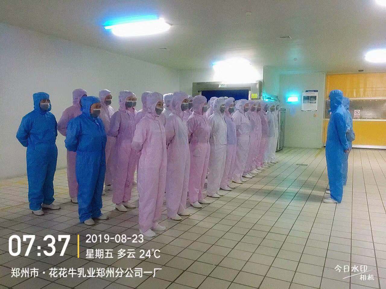 小晨會·大能量——砥礪奮進(jìn)的花花牛，加油！