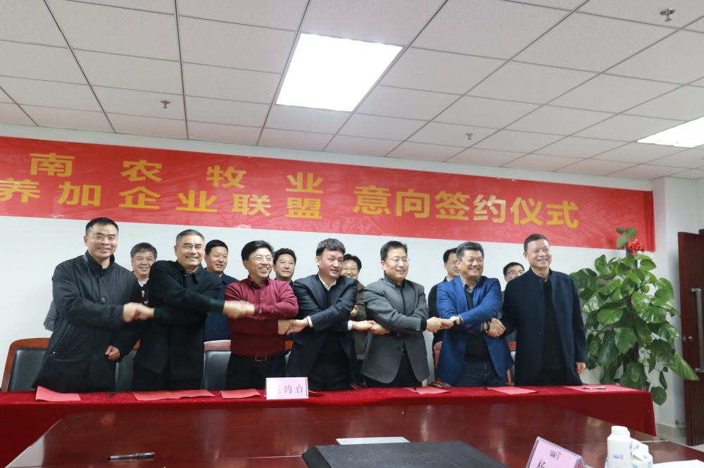 涉農(nóng)企業(yè)強強聯(lián)合，“抱團取暖”共迎企業(yè)發(fā)展的春天