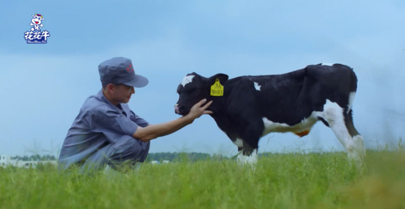 中國動物衛(wèi)生流調(diào)中心首席科學(xué)家范偉興一行蒞臨花花牛郟縣發(fā)展、魯山瑞亞參觀調(diào)研