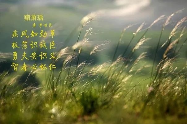 花花牛 | 疾風(fēng)來臨，你是不是勁草？