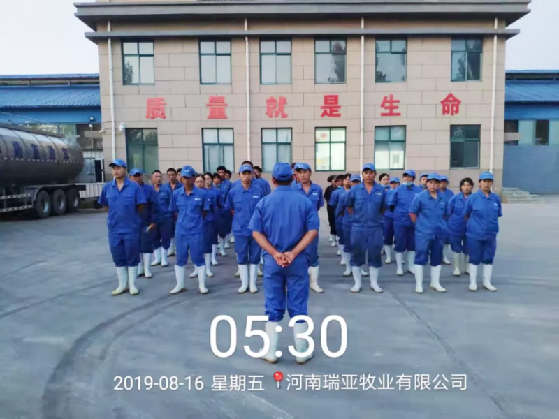 小晨會(huì)·大能量——砥礪奮進(jìn)的花花牛，加油！